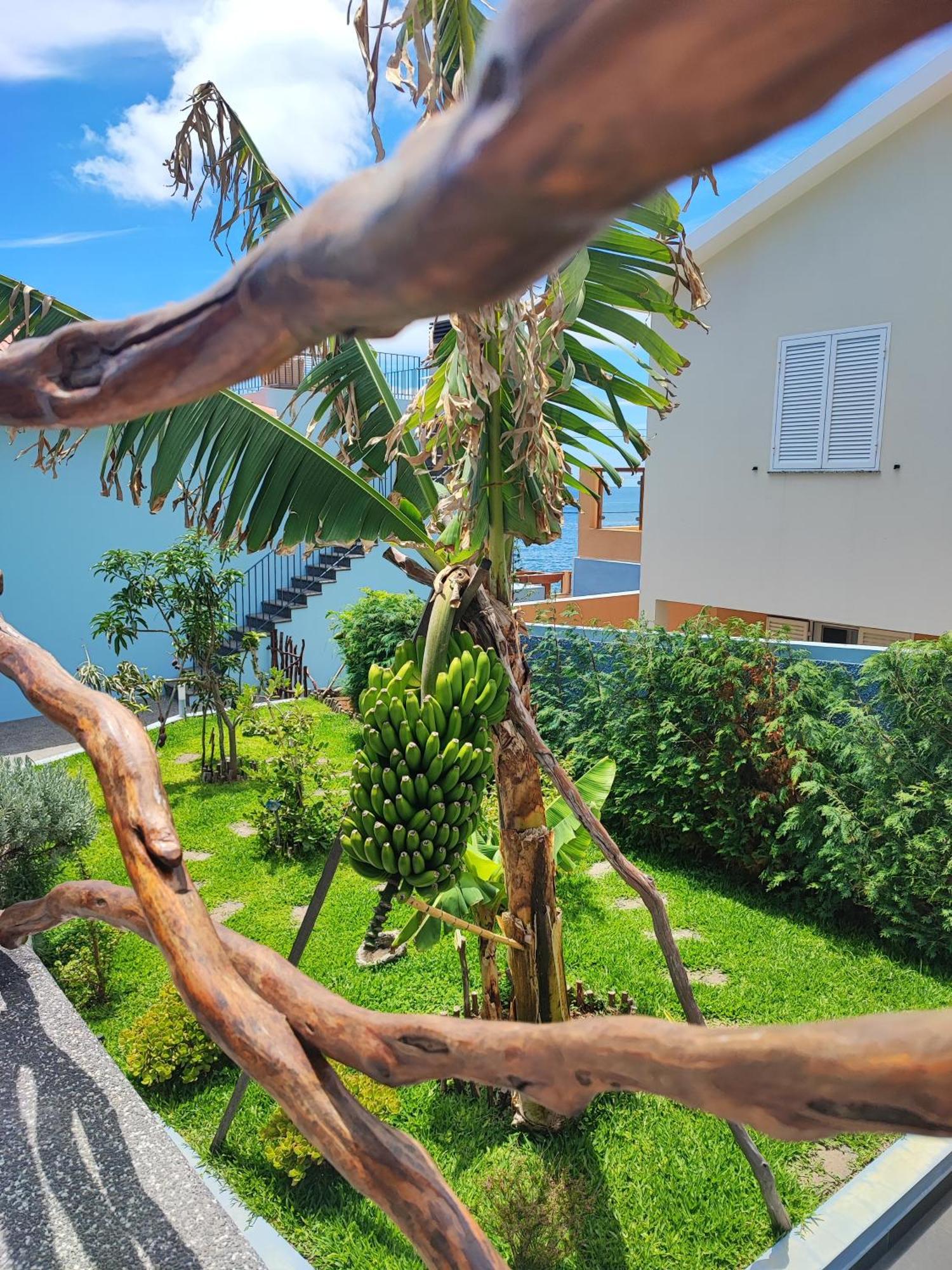 Cottage Pearl - Rural Holiday Experience By Seapearl Paul do Mar  Esterno foto